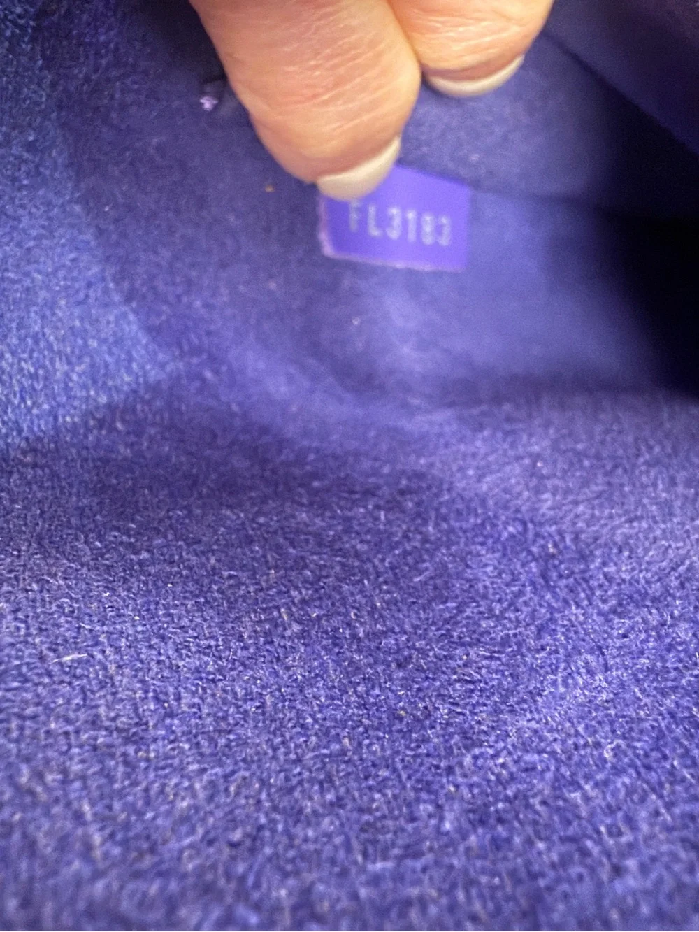 Louis Vuitton Alma PM Epi Leather in Purple